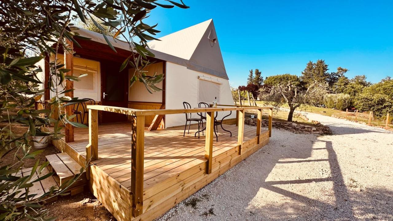 I Sicomori - Seme Di Carota - Glamping E Appartamenti Con Piscina A Saturnia Exterior foto
